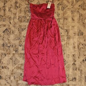Abercrombie & Fitch Strapless Fuchsia Dress